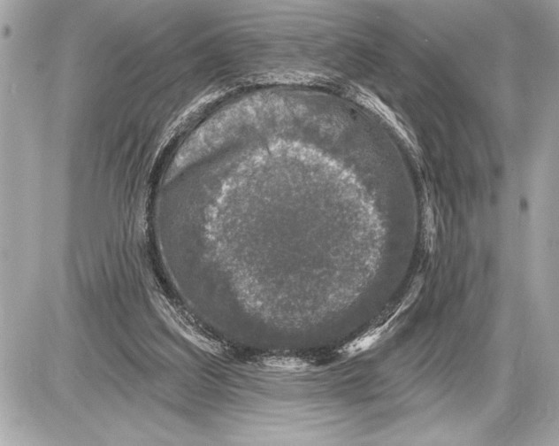 X0000085820203200704091641