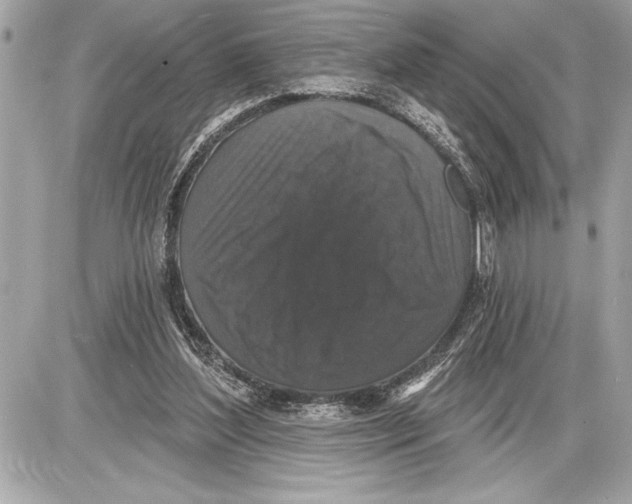 X0000085820204200704091641