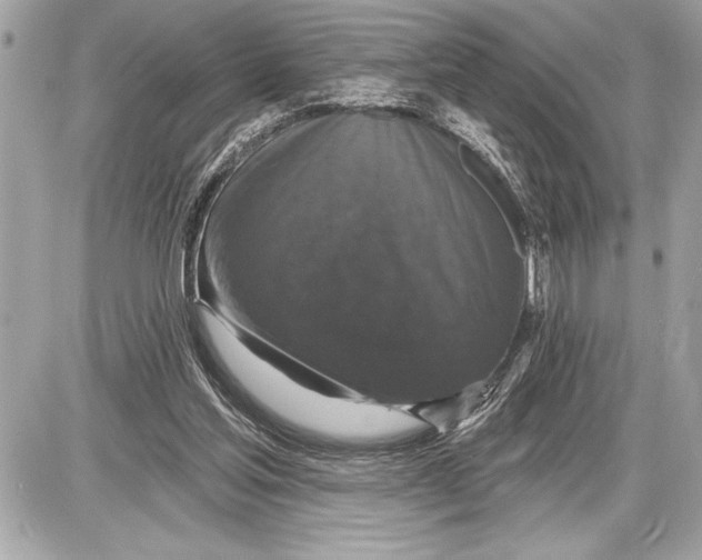 X0000085820205200704091641