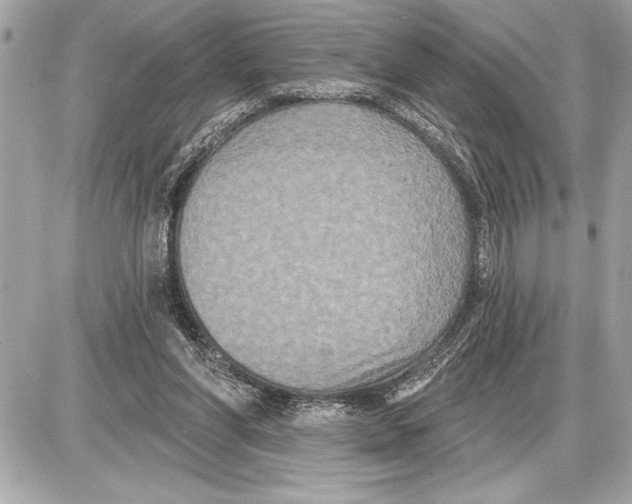 X0000085820206200704091641