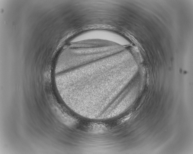 X0000085820207200704091641