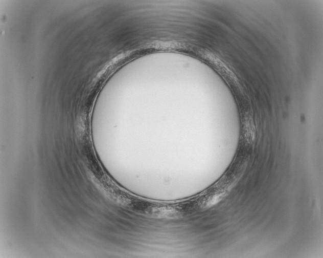 X0000085820208200704091641