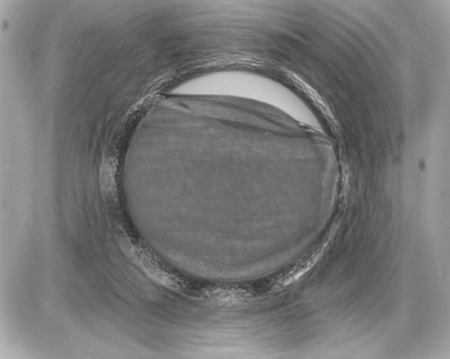 X0000085820209200704091641