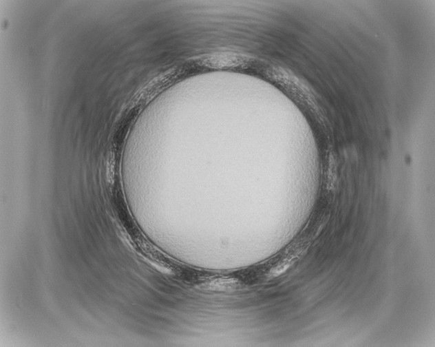 X0000085820210200704091641