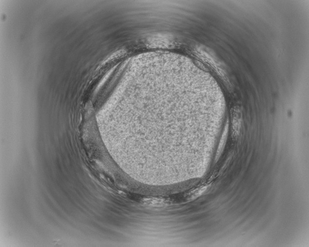 X0000085820211200704091641