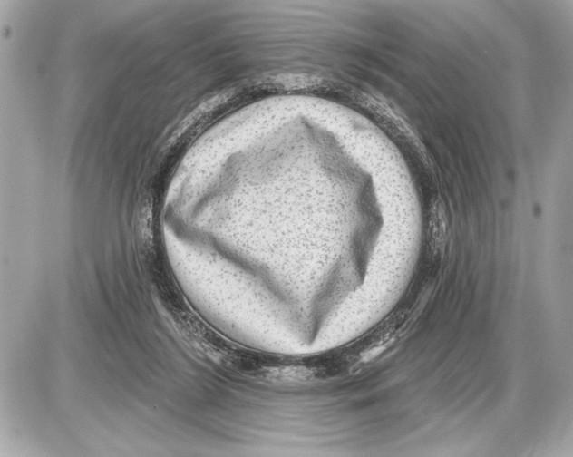 X0000085820212200704091641