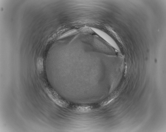 X0000085820213200704091641