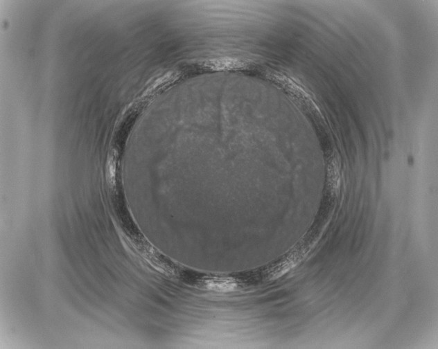 X0000085820214200704091641