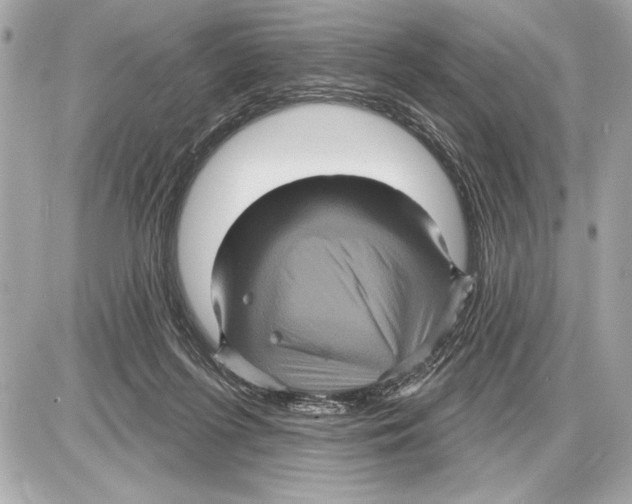 X0000085820215200704091640