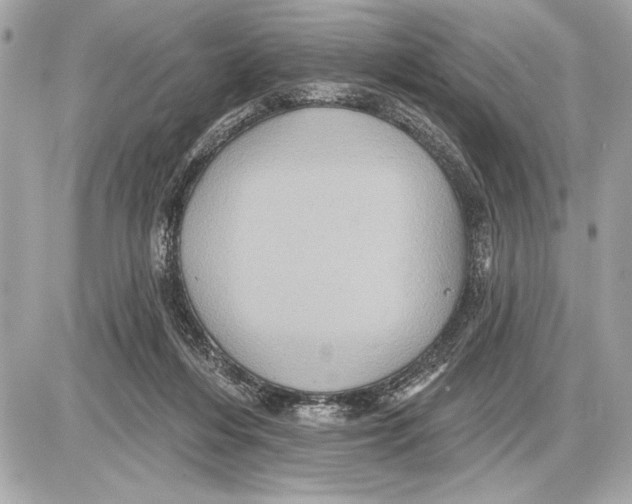 X0000085820216200704091640