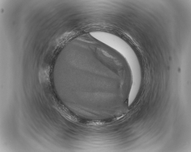 X0000085820217200704091640