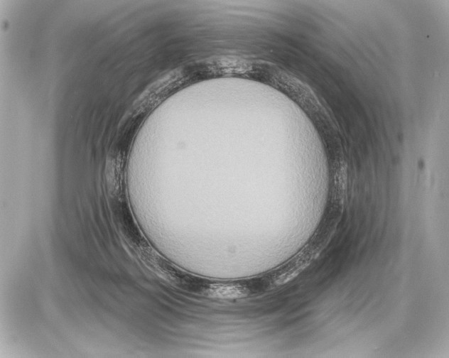 X0000085820218200704091640