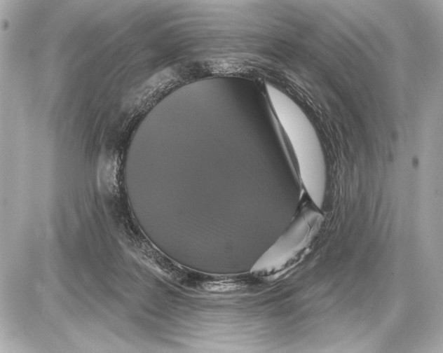 X0000085820219200704091640