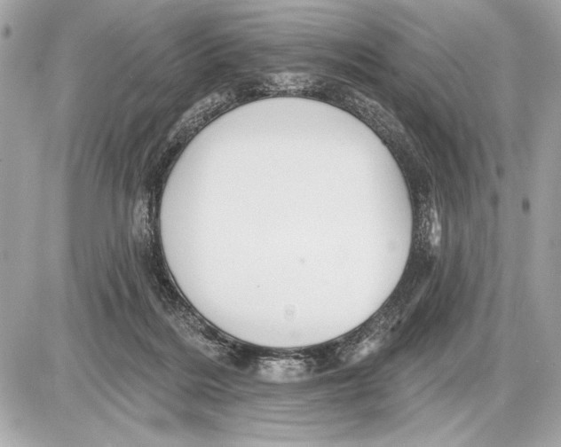 X0000085820220200704091640