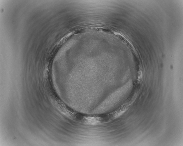 X0000085820221200704091640