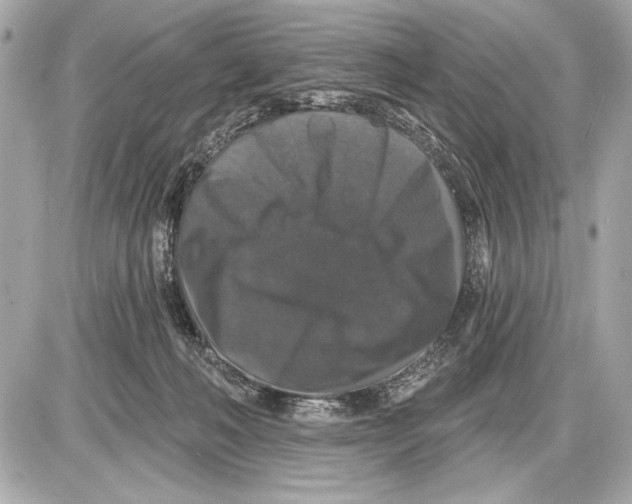 X0000085820222200704091640