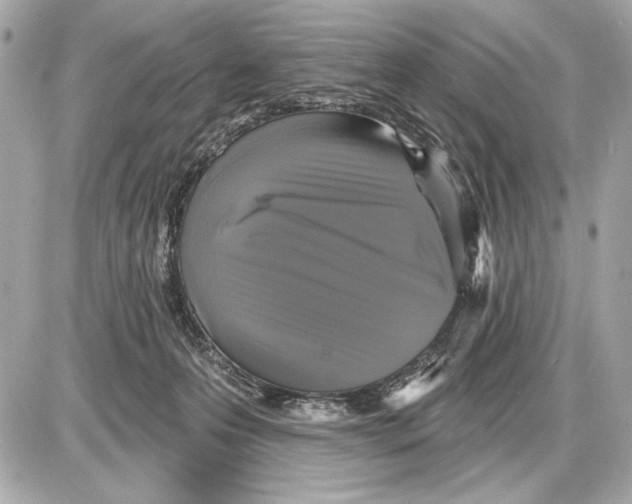 X0000085820223200704091640