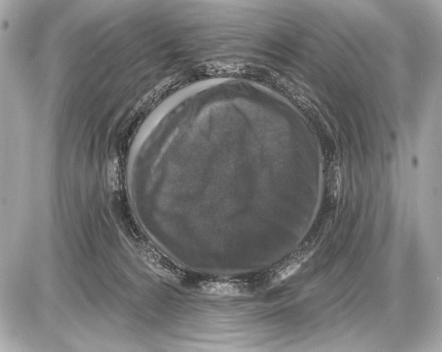 X0000085820224200704091640