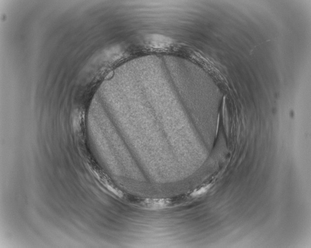 X0000085820225200704091640