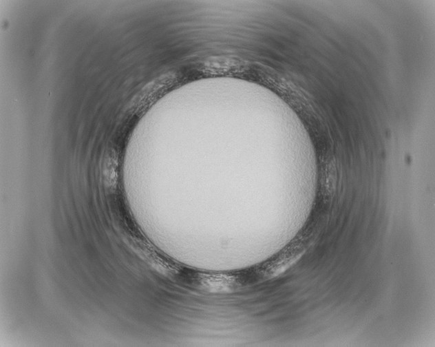 X0000085820226200704091640