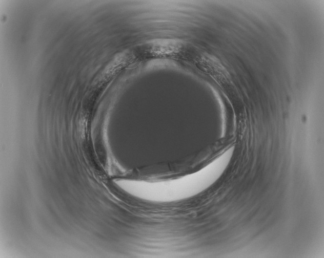 X0000085820227200704091640