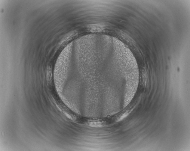 X0000085820228200704091640