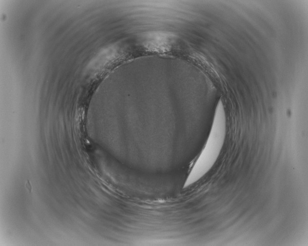 X0000085820229200704091640