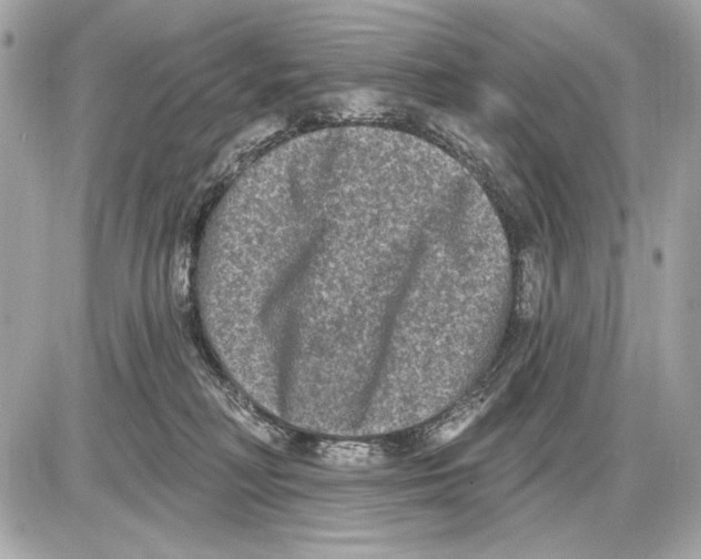 X0000085820230200704091640