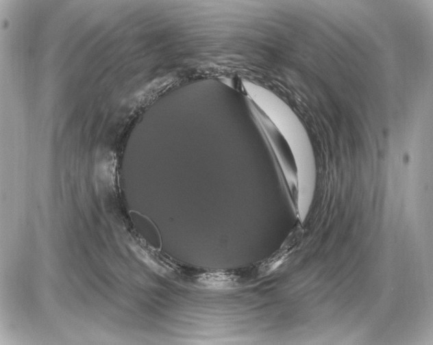 X0000085820231200704091640