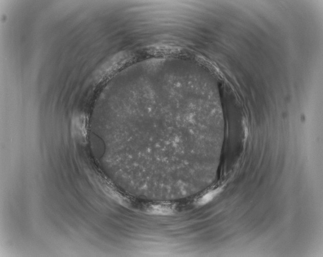 X0000085820232200704091640