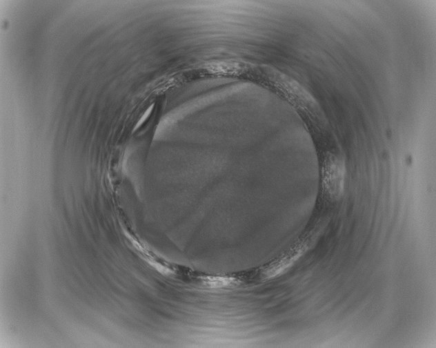 X0000085820233200704091640