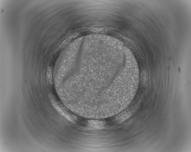 X0000085820234200704091640