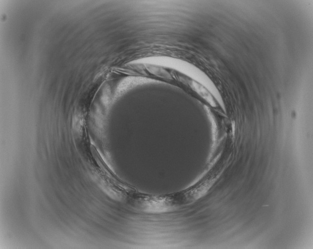 X0000085820235200704091640