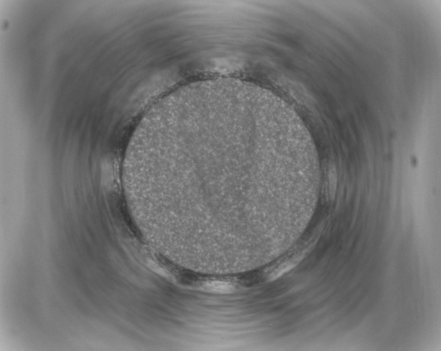 X0000085820236200704091640