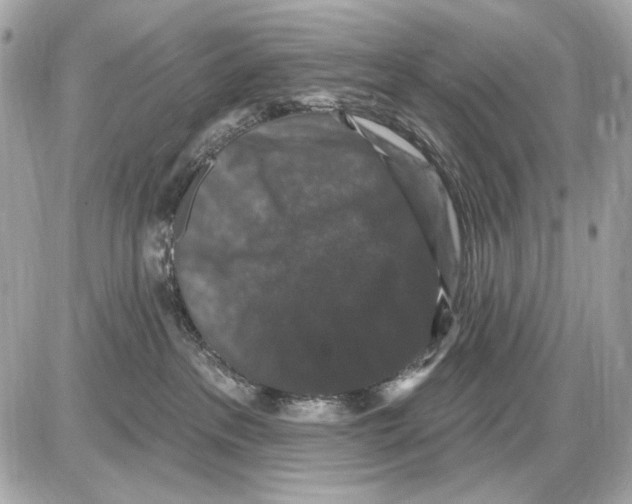 X0000085820237200704091640