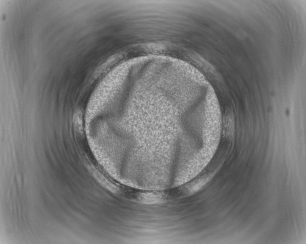 X0000085820238200704091640