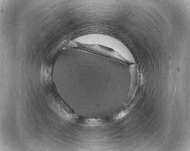 X0000085820239200704091640