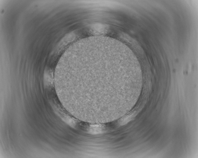 X0000085820240200704091640