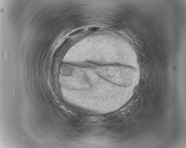 X0000085820241200704091639