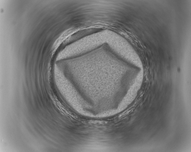 X0000085820242200704091639