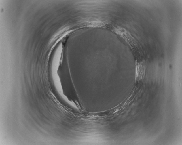 X0000085820243200704091639