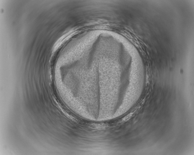 X0000085820245200704091639