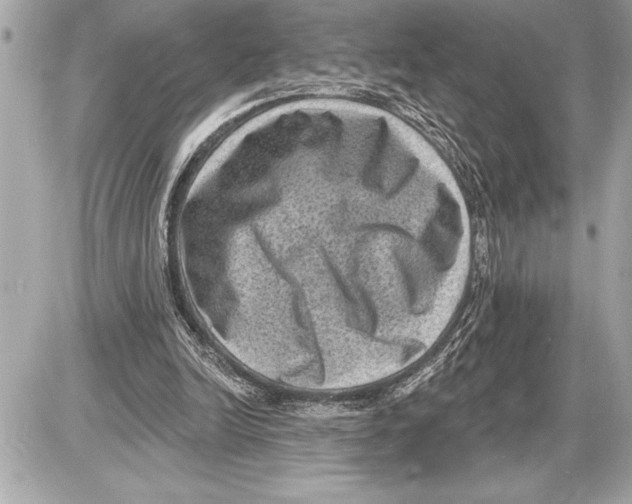 X0000085820246200704091639