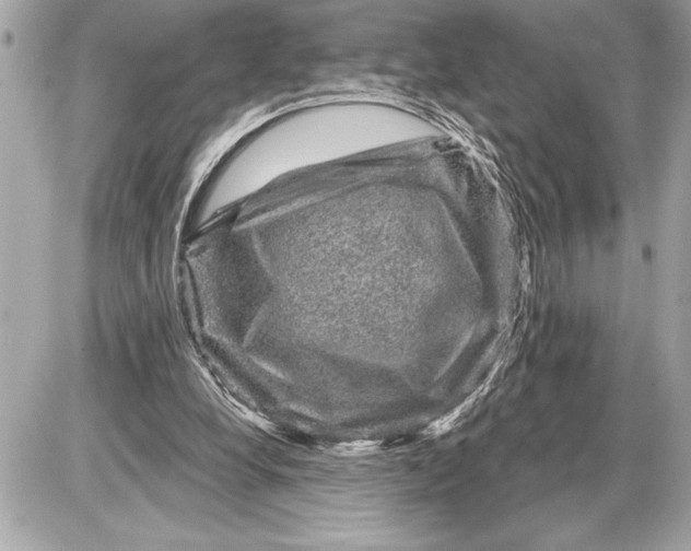 X0000085820248200704091639