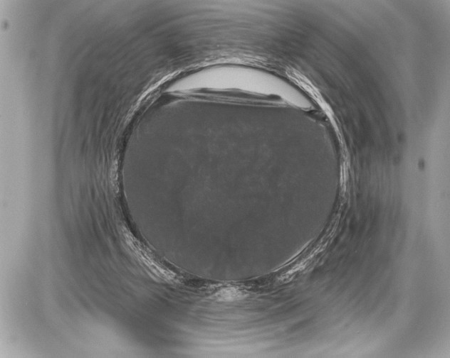 X0000085820249200704091639