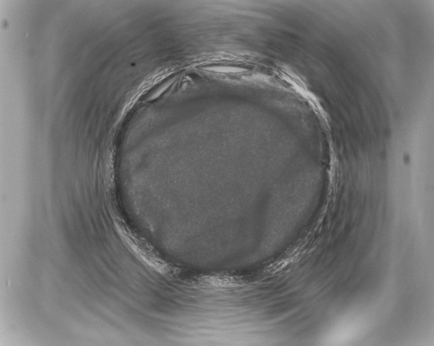 X0000085820250200704091639