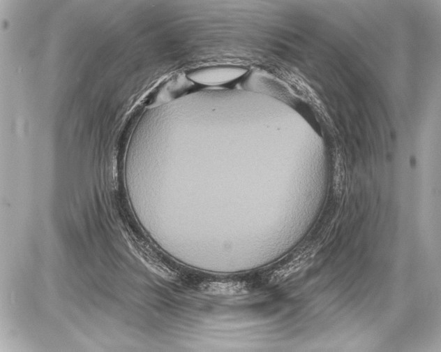 X0000085820251200704091639