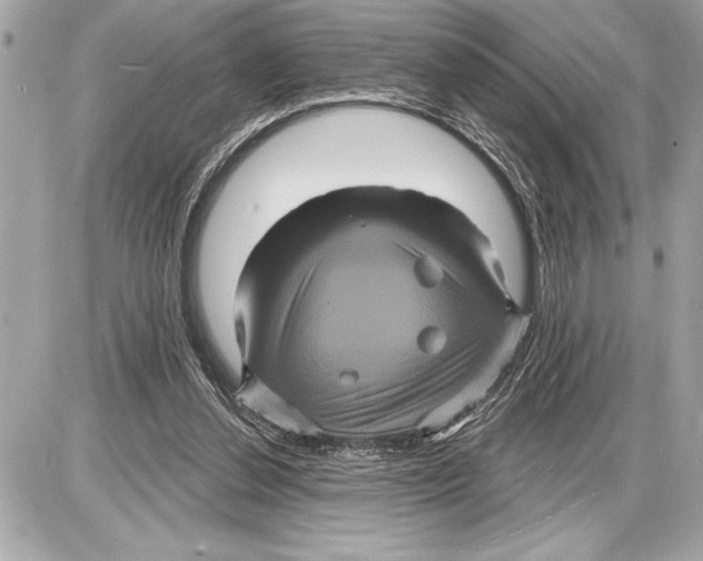 X0000085820252200704091639