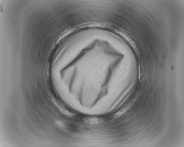 X0000085820253200704091639