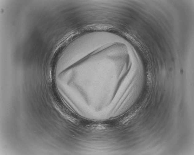 X0000085820254200704091639